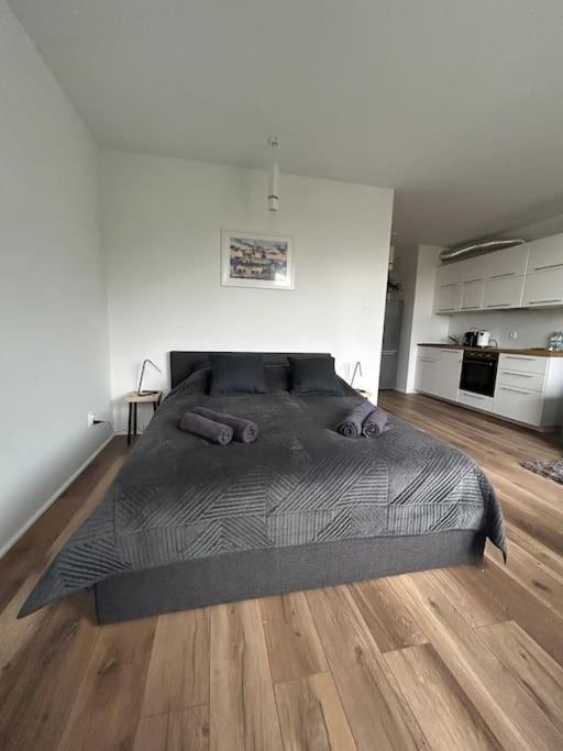 Apartament Stary Szczecin Exterior foto